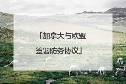 加拿大与欧盟签署防务协议